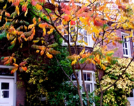 Treurenburgstraat 9 Herfst